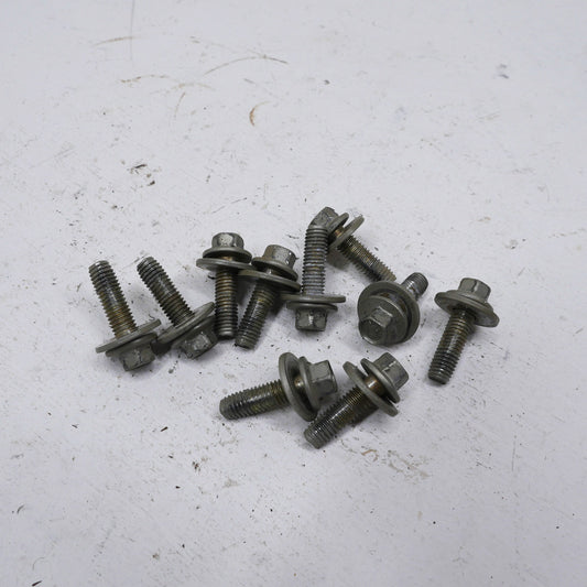 Front Door Hinge Bolts - Fits Ford Falcon AU SR 1998-2002