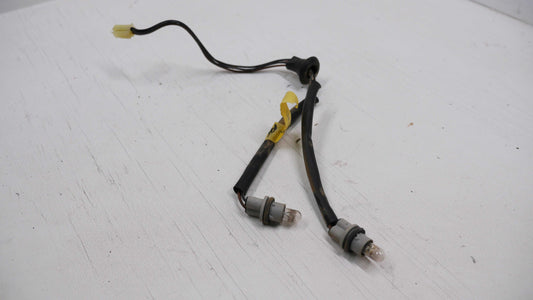 Number Plate Light Globe Plug and Wire - Fits Ford Falcon AU 1998-2002